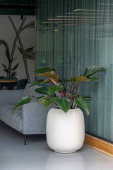 Sphere Elemental - Seidenweiß