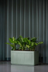 Jort Ionic - Salbeigrün