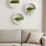 Hanging Wally 3er Set Ø 40 Finestgreen