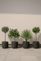 4x Charlie Black Washed Ø:25 L