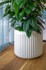 Turris Low Ionic - Seidenweiß