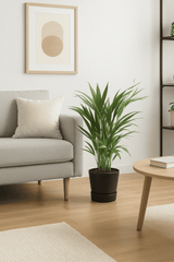 4er Pflanzenset Tierfreundlich Finestgreen