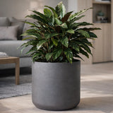 Charlie Black Washed Finestgreen || Abgebildete Größe: XL