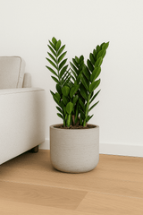 Charlie Grey Washed Pflanzkübel Grau aus Fiberclay in Beton-Optik || Abgebildete Größe: L