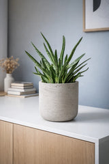 Charlie Grey Washed Pflanzkübel Grau aus Fiberclay in Beton-Optik || Abgebildete Größe: S