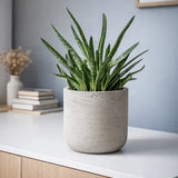 Charlie Grey Washed Pflanzkübel Grau aus Fiberclay in Beton-Optik || Abgebildete Größe: S