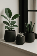 Patt Black Washed 3er Set