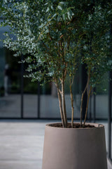 Nax Fiberstone Taupe - Finestgreen