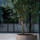 Nax Fiberstone Taupe - Finestgreen
