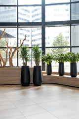 Nax Pflanzkübel Schwarz aus Fiberstone – Lifestyle-Setting mit Bepflanzung Größenvergleich