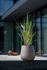 Pax Fiberstone Taupe - Finestgreen