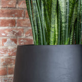 Pax Fiberstone Schwarz Finestgreen