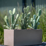 Balcony Fiberstone Taupe - Finestgreen
