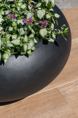Cora Pflanzschale Schwarz aus Fiberstone – runde bauchige Schale Nahaufnahme