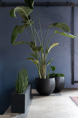 Orb Fiberstone Schwarz