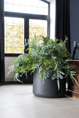 Jumbo Patt Fiberstone Schwarz