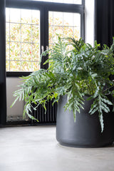 Jumbo Patt Fiberstone Schwarz