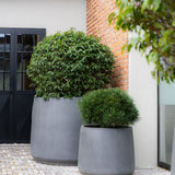 Jumbo Patt Fiberstone Grau Finestgreen