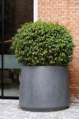 Jumbo Patt Fiberstone Grau