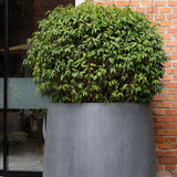Jumbo Patt Fiberstone Grau Finestgreen