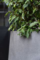 Jumbo Patt Fiberstone Grau