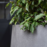 Jumbo Patt Fiberstone Grau Finestgreen