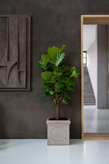 Block Classic Taupe - Finestgreen