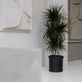 Max Classic Schwarz - Finestgreen