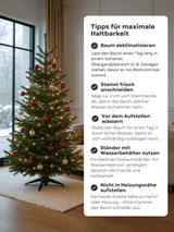 Echte Nordmanntanne 150–175 cm – Premium Weihnachtsbaum