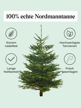 Echte Nordmanntanne 150–175 cm – Premium Weihnachtsbaum