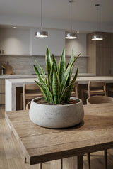 Eileen Grey Washed Pflanzschale Grau aus Fiberclay