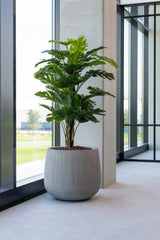 Monstera Pertusum Kunstpflanze L 140cm - Finestgreen