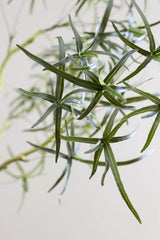 Queensland bottle Baum Kunstpflanze XL 240cm - Finestgreen