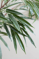 Ficus Alii Baum Kunstpflanze XL 230cm - Finestgreen