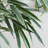 Ficus Alii Baum Kunstpflanze XL 230cm - Finestgreen