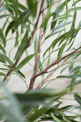 Ficus Alii Baum Kunstpflanze XL 230cm - Finestgreen
