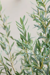 Olivenbaum Kunstpflanze L 180cm - Finestgreen