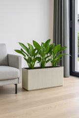 Jort Ionic - Seidenweiß