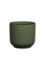 Arcus Ionic - Salbeigrün