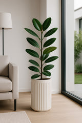 Turris Ionic - Seidenweiß