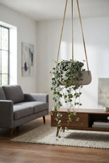 Hanging Eileen Grau Finestgreen