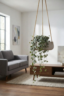 Hanging Eileen Grau