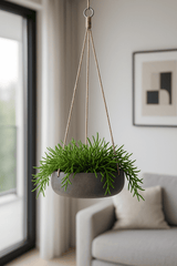 Hanging Eileen Schwarz