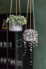 Hanging Patt Set Grau (2er Set) Finestgreen || Offenporige Oberläche