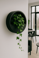 Hanging Wally Schwarz