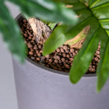 Max Black Washed Finestgreen || Offenporige Oberfläche