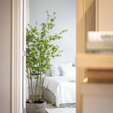 Enkianthus perulatus Kunstpflanze M 180cm - Finestgreen
