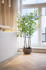Enkianthus perulatus Kunstpflanze L 210cm - Finestgreen