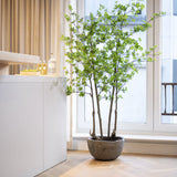 Enkianthus perulatus Kunstpflanze L 210cm - Finestgreen