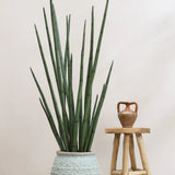 Sansevieria Cylindrica Kunstpflanze L 180cm - Finestgreen